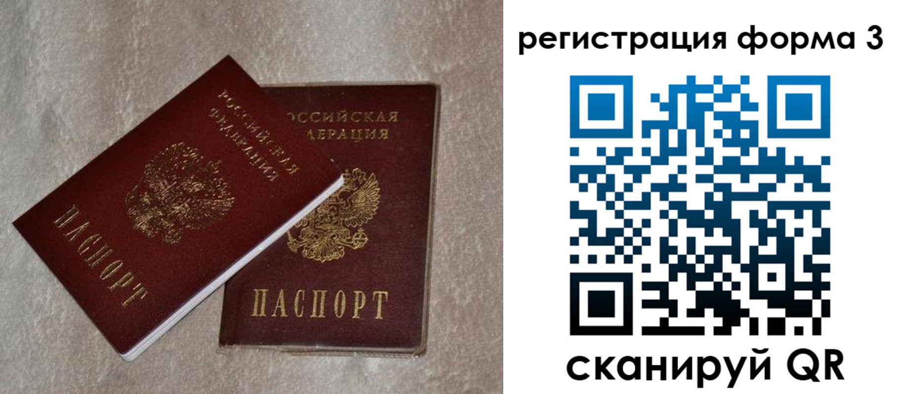 где прописаться в Гатчине